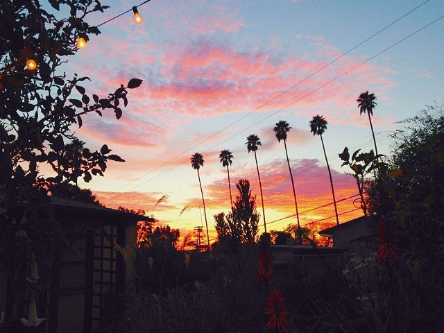 Palm trees dot the horizon in typical LA fashion