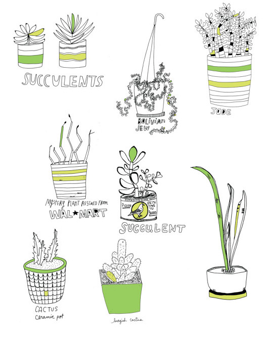 Mostly Succulents illustrations