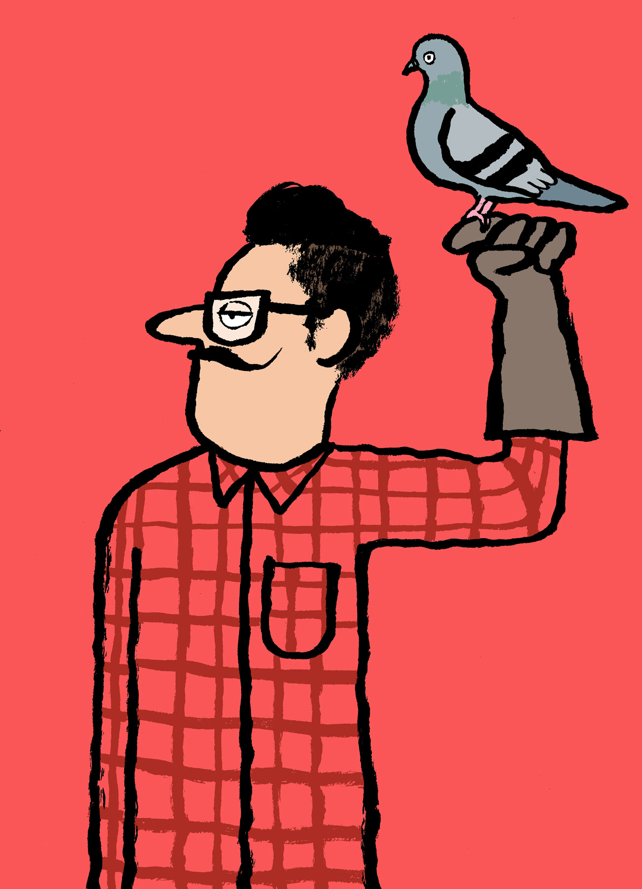 Modern Falconry: A man with a leather glove on and a pigeon on his finger