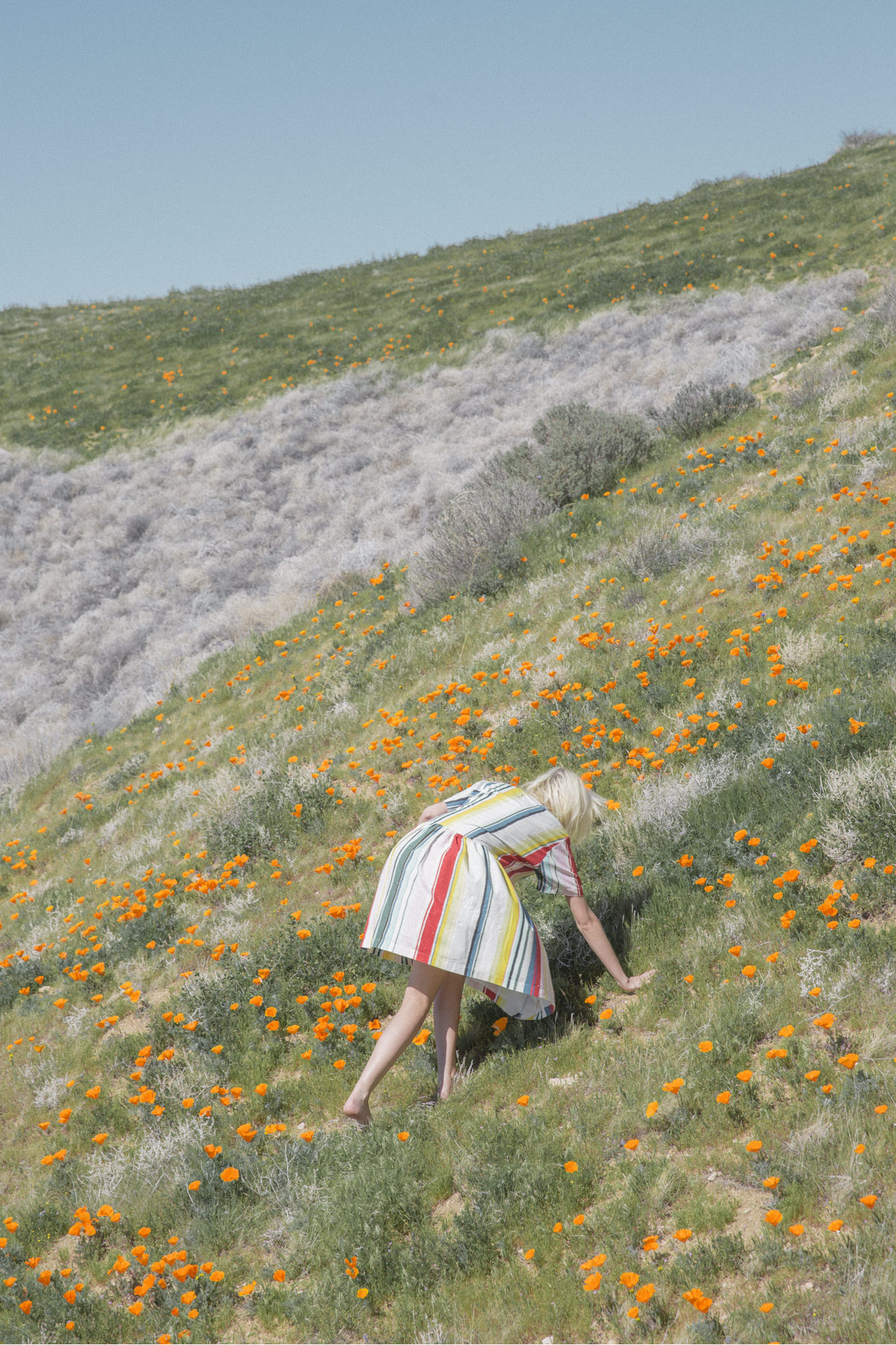 WHIT NY - young woman on hill with flowers