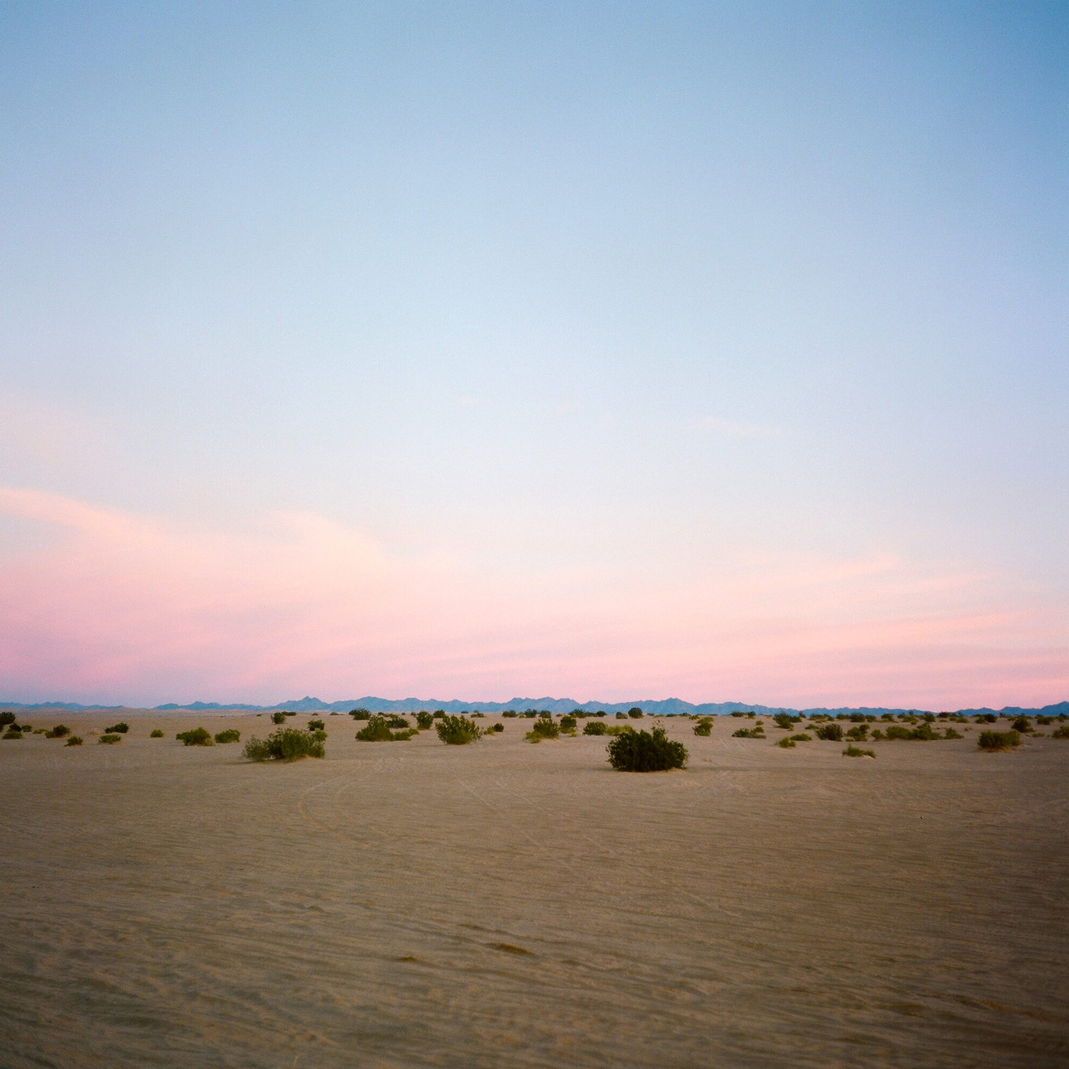 Imperial Sand Dunes, Glamis, California