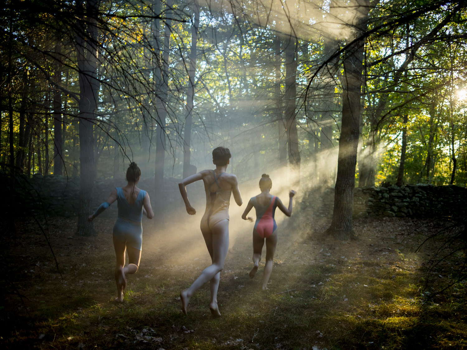 photograph of dancers from Indelible Dance Company