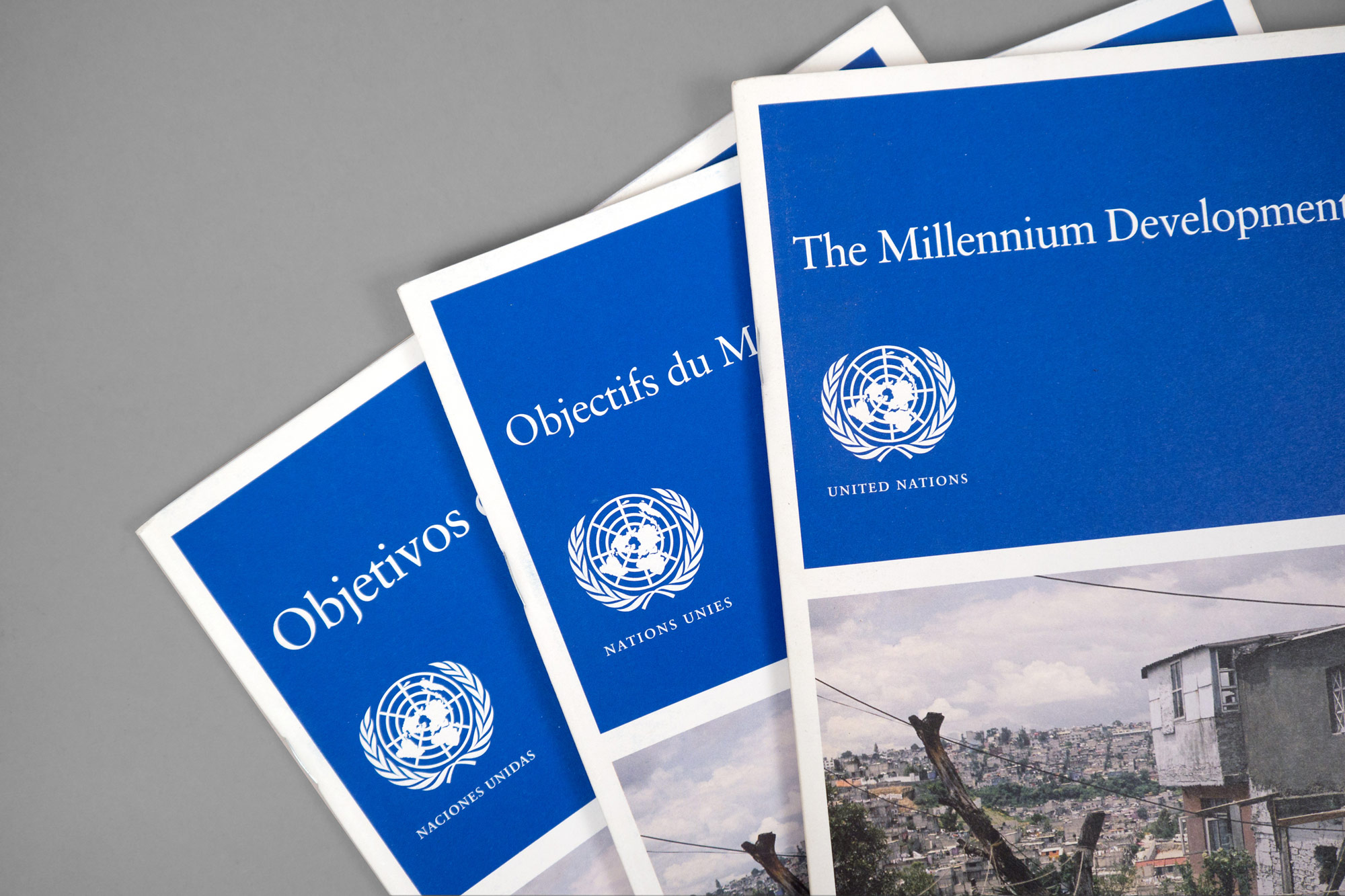 United Nations 2005 Millenium Development Goals report 