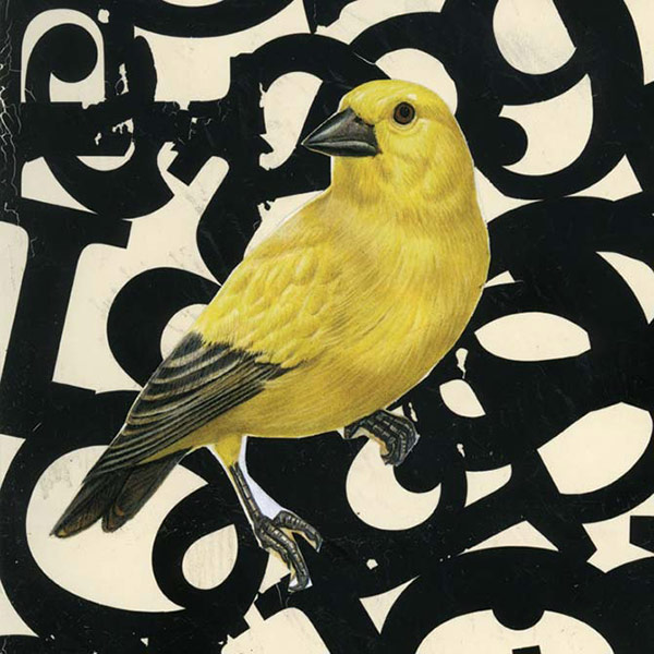 Collage of a yellow finch with type behind it