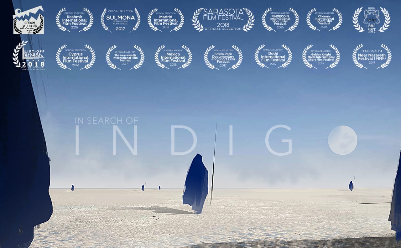 In Search of Indigo Poster